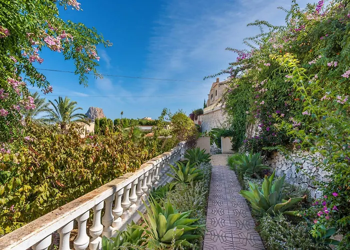 Aloe - Plusholidays 卡尔佩